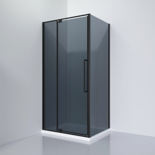 Душевое ограждение Black & White S812 BG 100х100