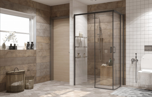 Душевое ограждение Ambassador Queen 11011205RBlack (1200x800x2000), 1 место фото 2