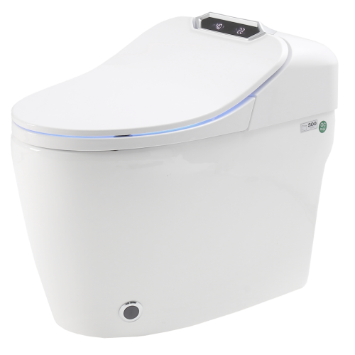 Электронный унитаз-биде Timo TE-731 