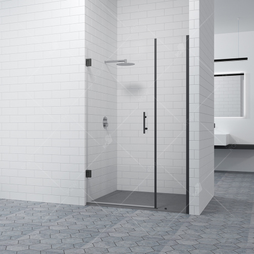 Душевая дверь RGW HO-012B Прозрачное 1200 фото 3