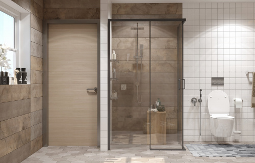 Душевое ограждение Ambassador Queen 11011205RBlack (1200x800x2000), 1 место фото 3