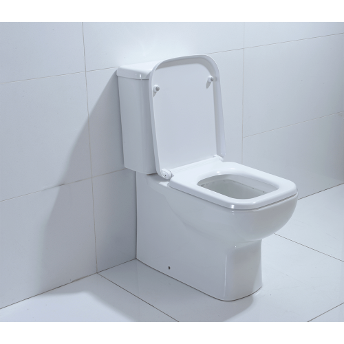 Керамический унитаз Orans WM-9903 фото 4