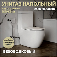 Унитаз напольный Моноблок Alicaness Polo N1113 безободковый