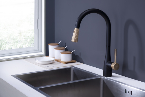 Смеситель для кухни D&K Rhein.Schiller (DA1462517A) фото 3