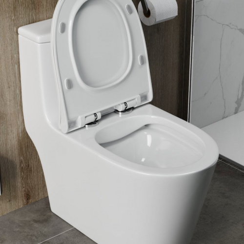 Унитаз напольный Моноблок Alicaness Polo N1112 безободковый фото 9