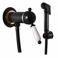 L047/1CMATZ LABE - смеситель для биде, скрытый монтаж, лейка (металл), ЦВЕТ ЧЕРНЫЙ МАТОВЫЙ/ЗОЛОТО RAV Slezak