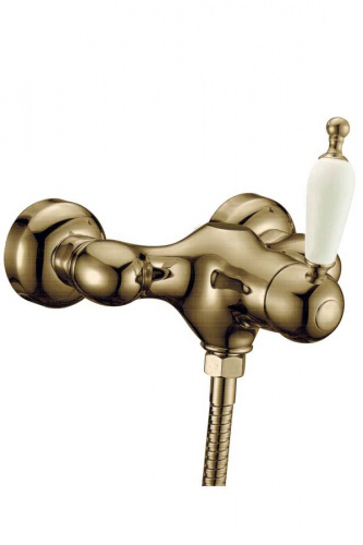 Смеситель для душа Medici Ripresa