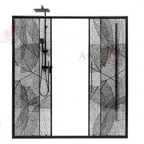 Душевая дверь в нишу AvaCan FB2 190-210 фото 2