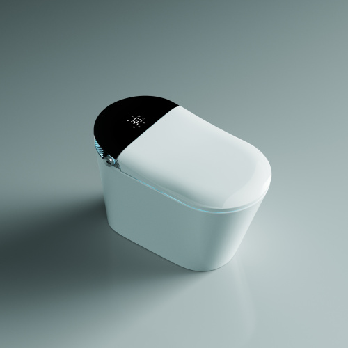 Электронный напольный унитаз-биде TIMO TЕ-741B  фото 3