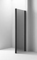 Боковая стенка Ambassador Intense 110IBB (1100x2000), 1 место