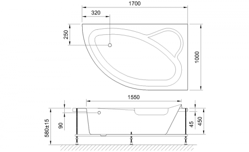 Акриловая ванна Royal Bath  ALPINE RB819102 170x100x58R фото 2