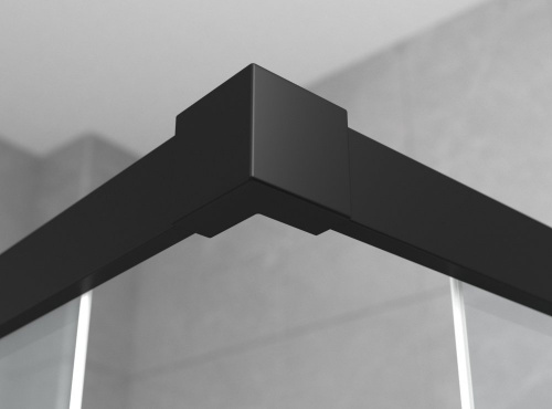 Душевое ограждение Ambassador Queen 11011205LBlack (1200x800x2000), 1 место фото 6