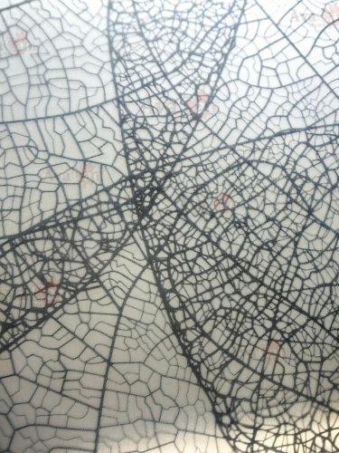 Душевой уголок AvaCan FB2 190-210  + SB90 MT фото 9