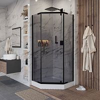 Душевой уголок Niagara NG 010-14DT