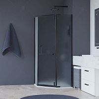Душевой уголок RGW HO-081B Матовое-Сатинат 1000x1000