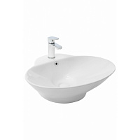 Раковина накладная WeltWasser WW SK ELBACH 3072   (590х480х190)