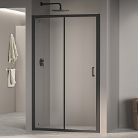 Душевая дверь RGW PA-14B Прозрачное 1200