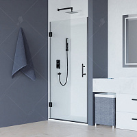 Душевая дверь RGW HO-011B Матовое-Сатинат 700