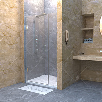 Душевая дверь RGW HO-012 Прозрачное 1100